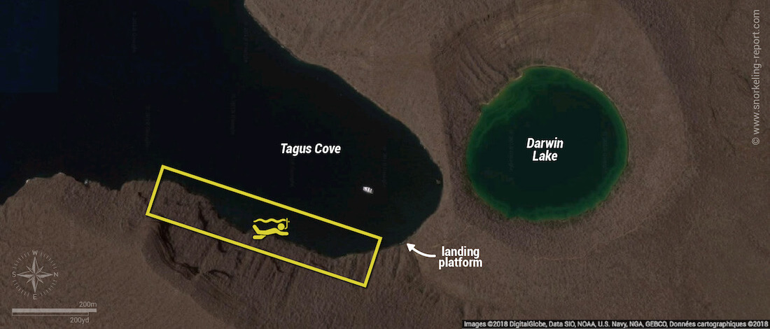 Tagus Cove snorkeling map, Isabela