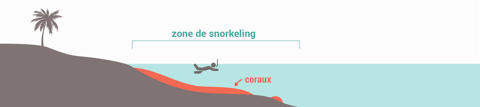 Les types de spots de snorkeling - Récif frangeant étroit