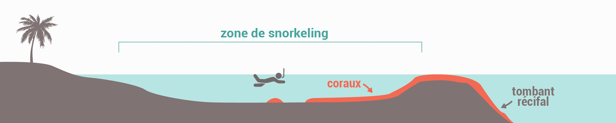 Les types de spots de snorkeling - Récif frangeant fermé