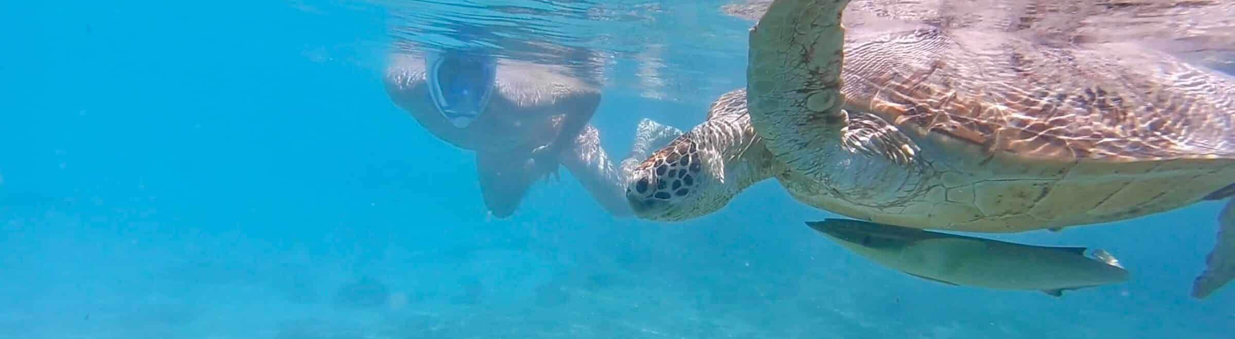 Snorkeling Spots Near Me View Snorkeling Spots Closest to You in One Click Snorkeling Report