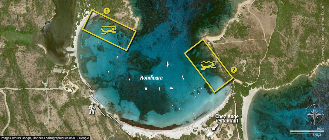 Rondinara snorkeling map