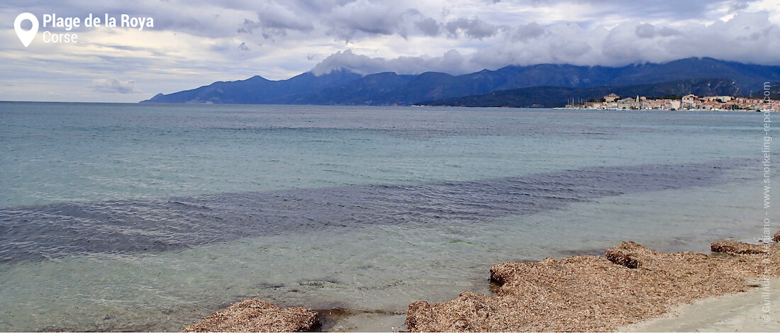 Plage de la Roya, Saint-Florent