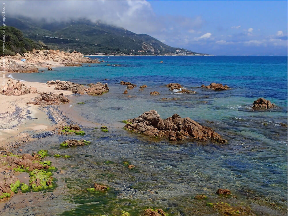 Snorkeling At Plage De Moorea Ajaccio Corsica