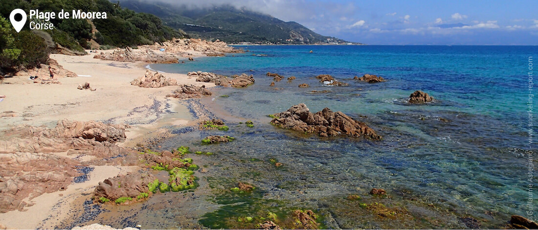 Vue sur la plage de Moorea à Ajaccio