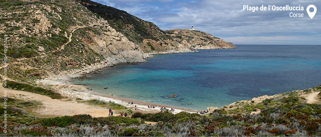 Plage de l'Oscelluccia, Calvi