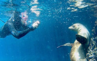 snorkeling thailand islands spots