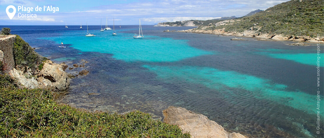 View over plage de l'Alga, Calvi