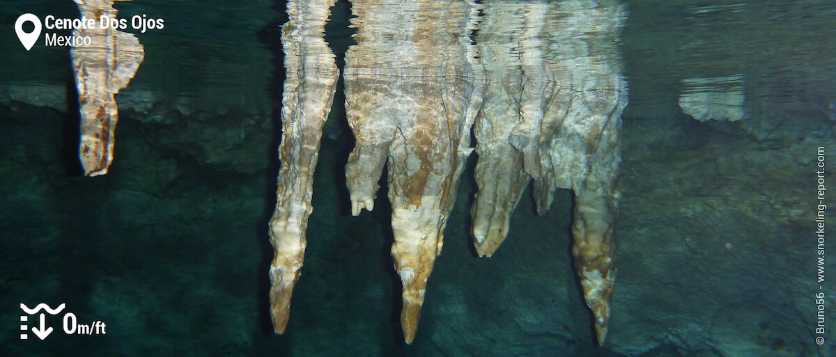 Cenote Dos Ojos.