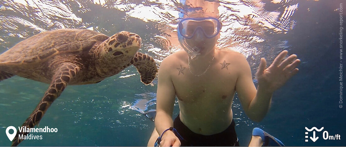 Snorkeling with hawksbill sea turtle at Vilamendhoo
