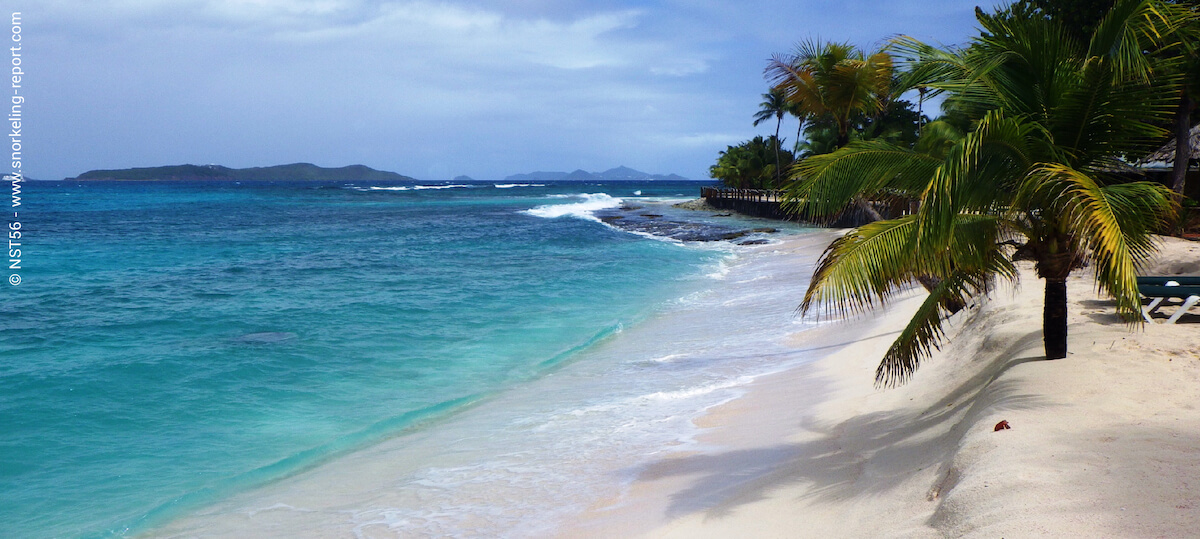 Palm Island beach