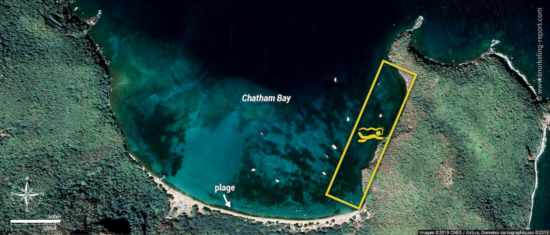 Carte snorkeling à Chatham Bay