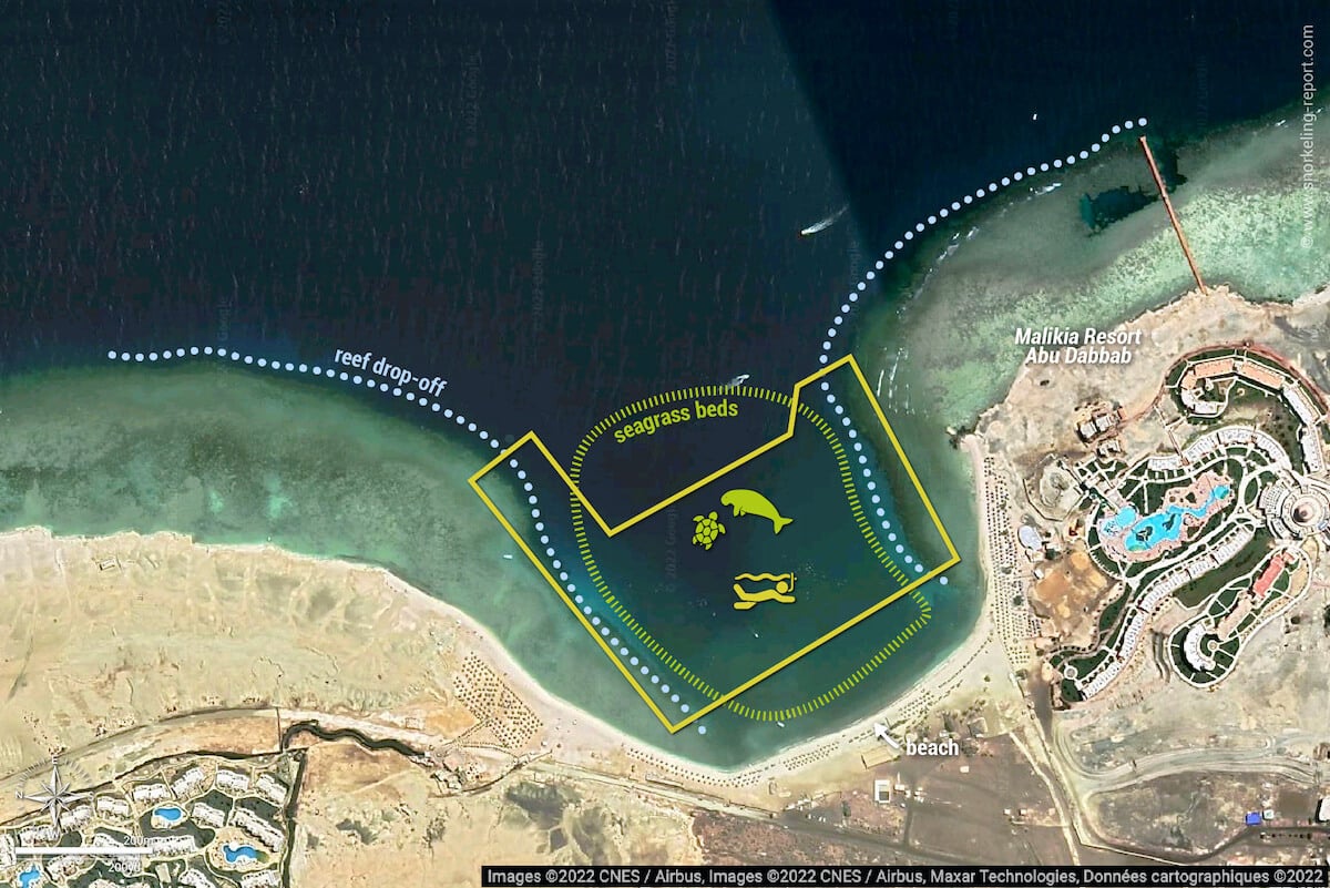 Abu Dabbab snorkeling map
