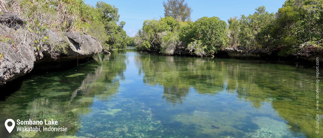 Vue sur le lac Sombano, Wakatobi