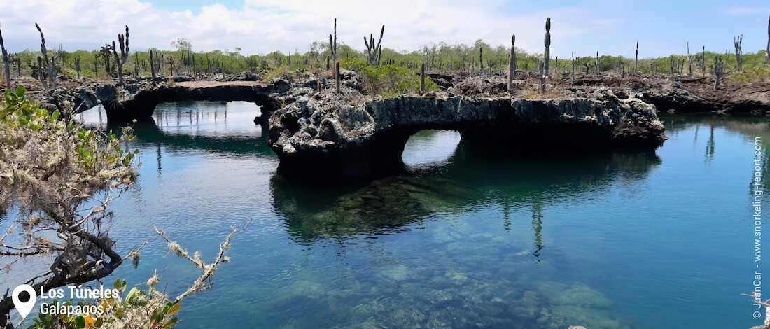 Los Tuneles, Isabela, Galapagos