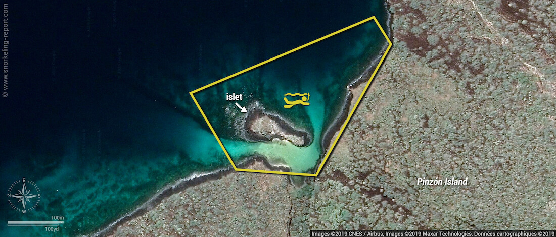 Pinzon Island snorkeling map, Galapagos