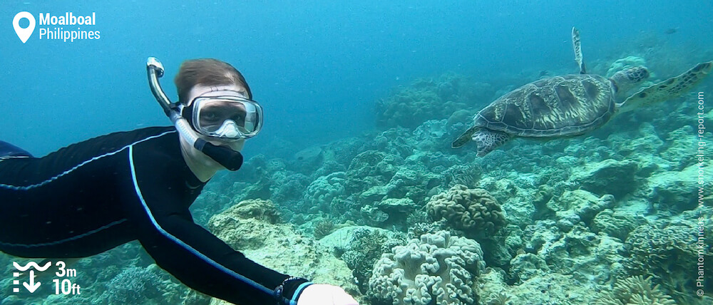 Snorkeler with a sea turtle at Moalboal