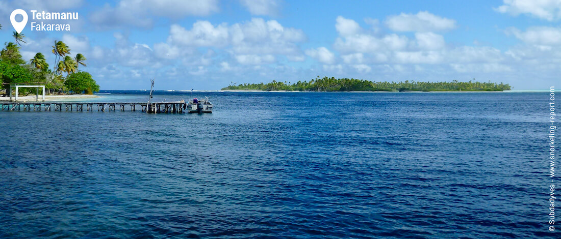 Snorkeling dans la passe de Tumakohua, Fakarava
