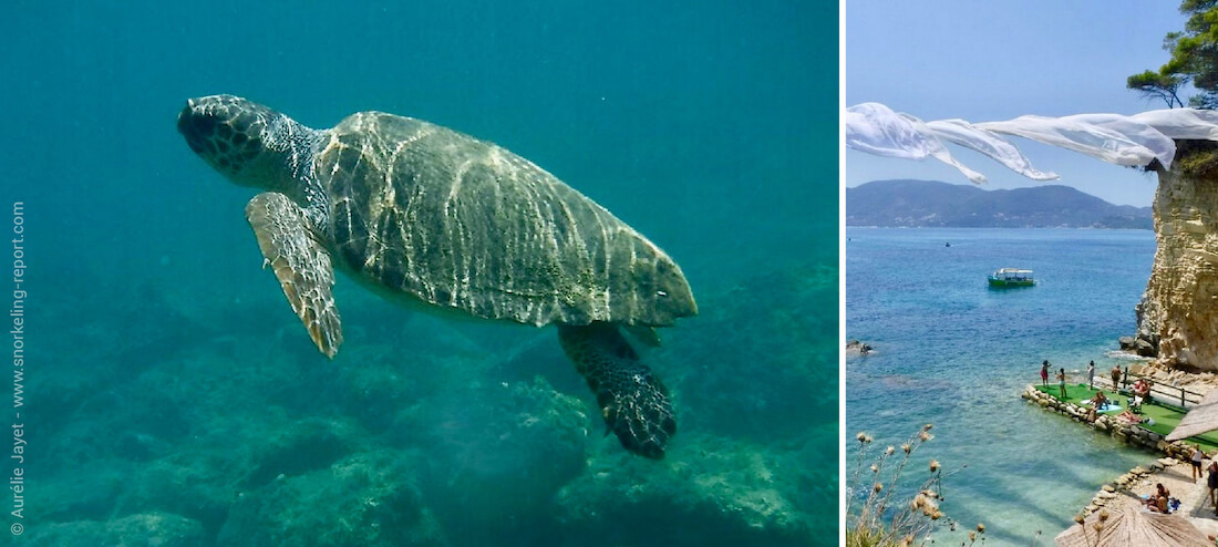 Snorkeling avec des tortues marines sur l'île de Cameo, Zante