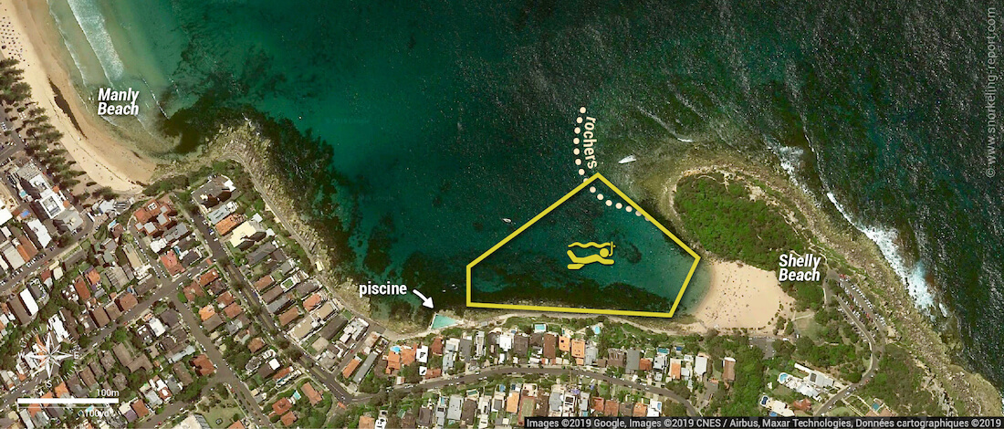 Carte snorkeling à Shelly Beach