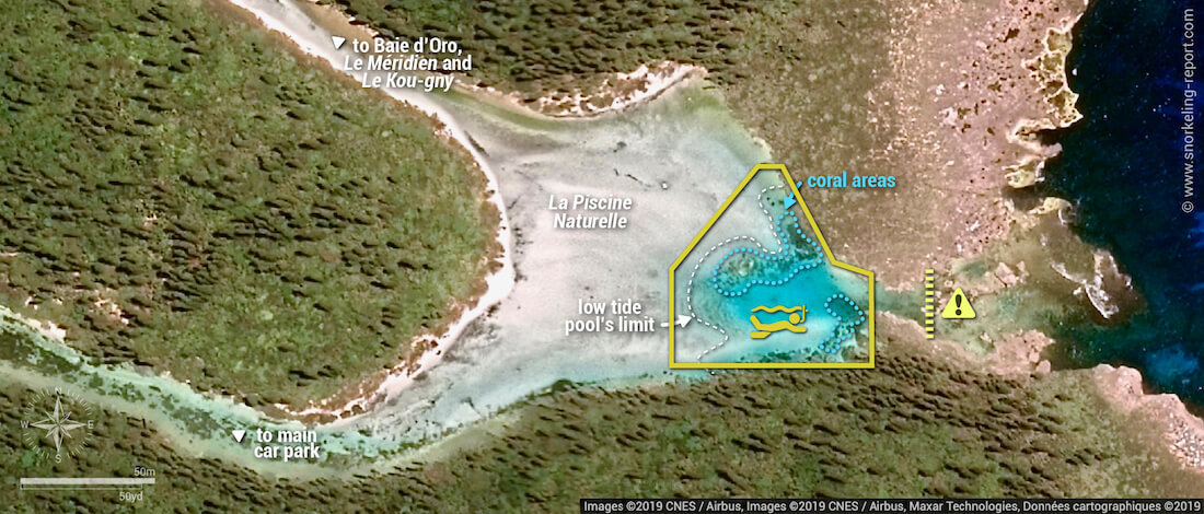 Natural Pool Oro Bay snorkeling map