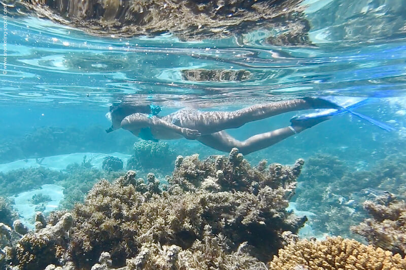 Snorkeling first timer