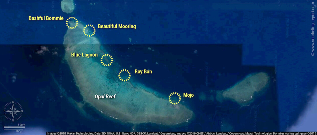 Carte snorkeling Opal Reef