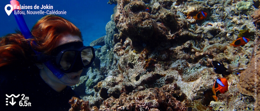 Snorkeling avec des poissons-clowns aux Falaises de Jokin