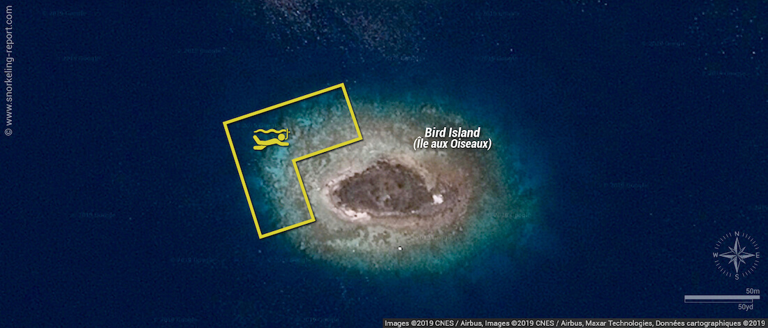 Bird Island Fakarava snorkeling map