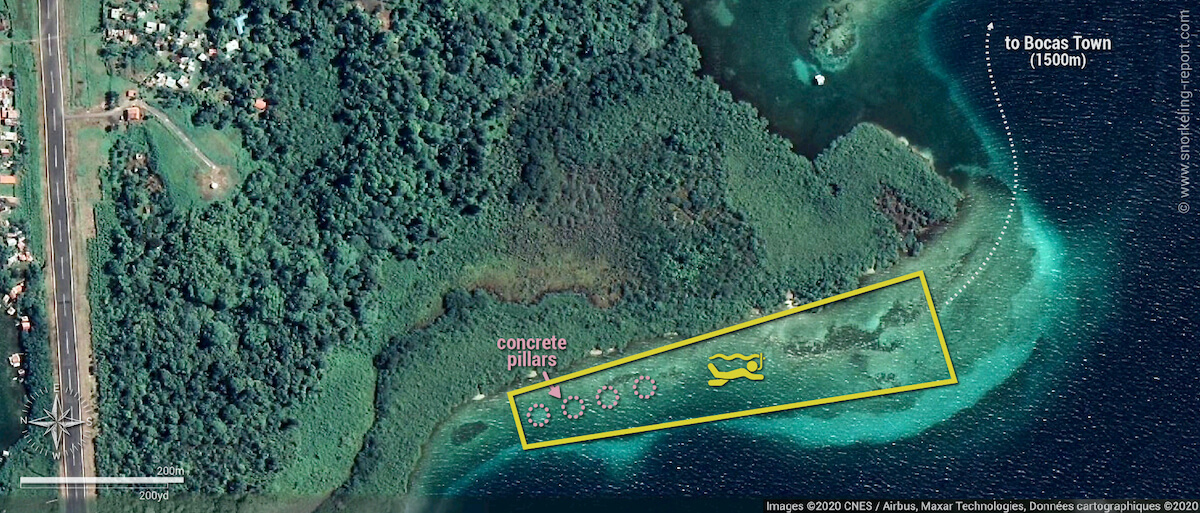 Bocas Town snorkeling area map