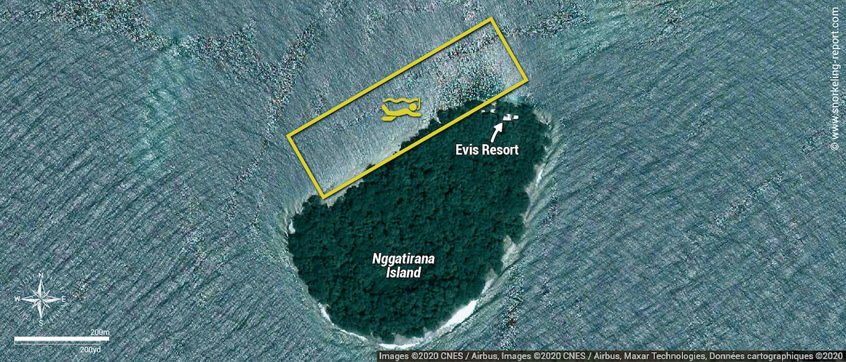 Evis Resort at Nggatirana Island snorkeling map