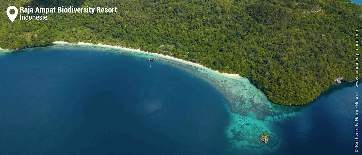 Vue aérienne du récif du Raja Ampat Biodiversity Resort