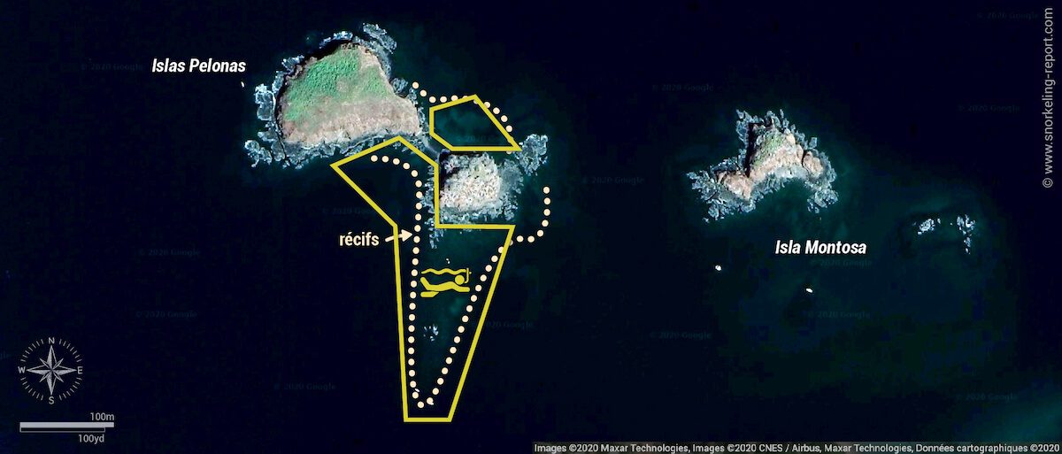 Carte snorkeling aux Islas Pelonas