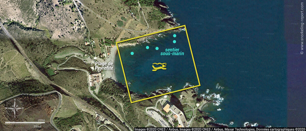 Carte snorkeling à la plage de Peyrefite, Réserve de Cerbère-Banyuls