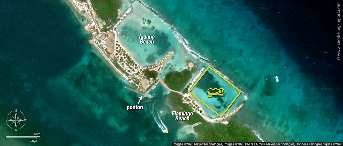 Carte snorkeling à Flamingo Beach