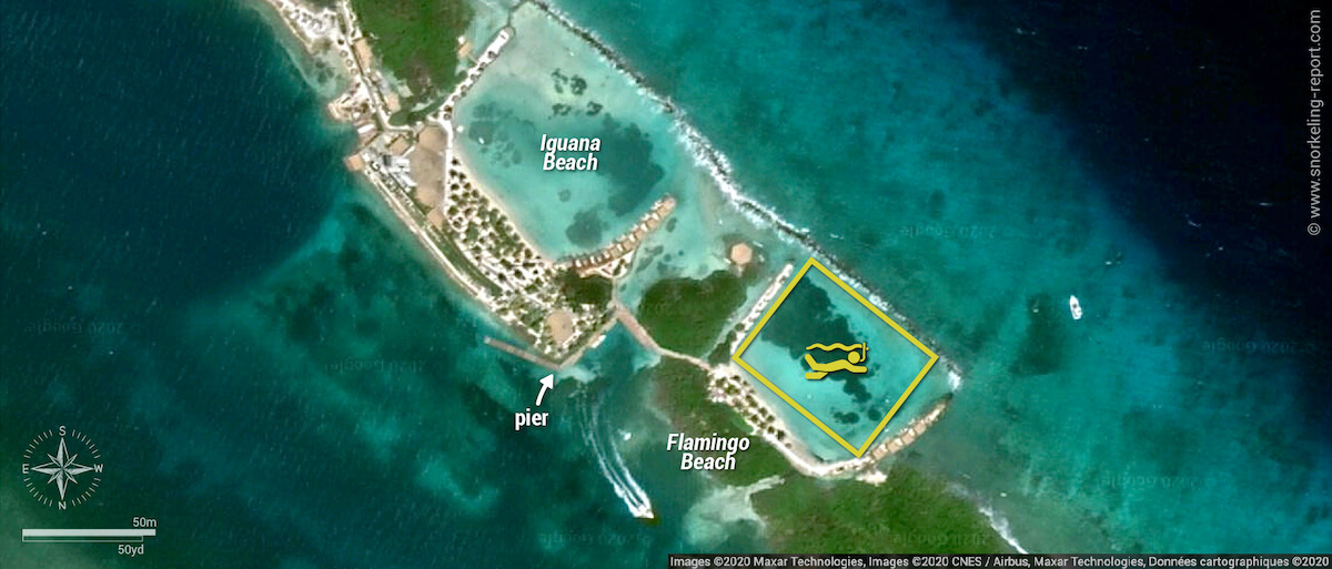 Flamingo Beach - Renaissance Island snorkeling map