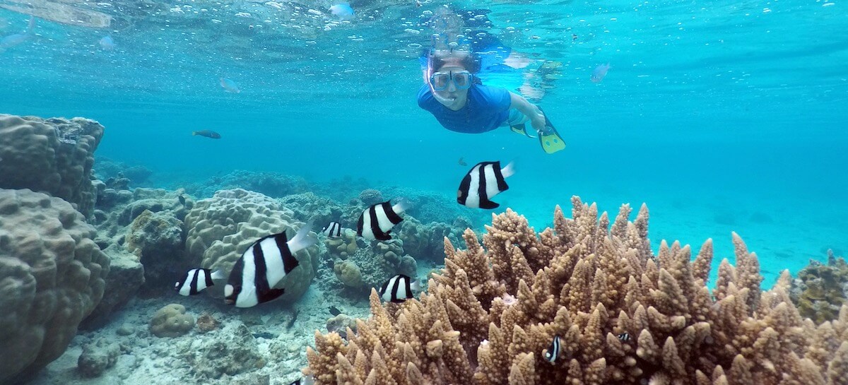 Snorkeling Rarotonga