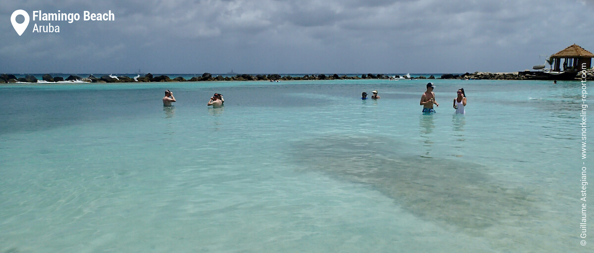 Flamingo Beach, Renaissance Island