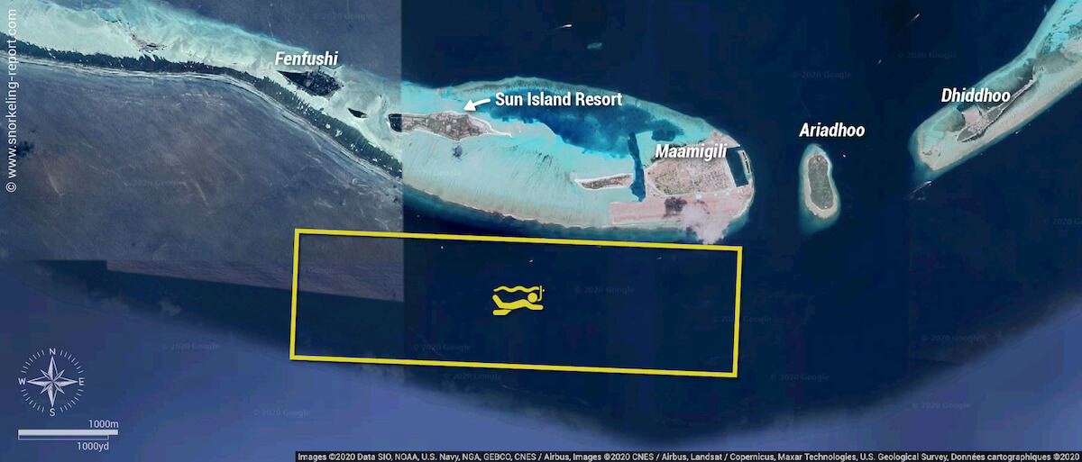 Whale Shark Point snorkeling map