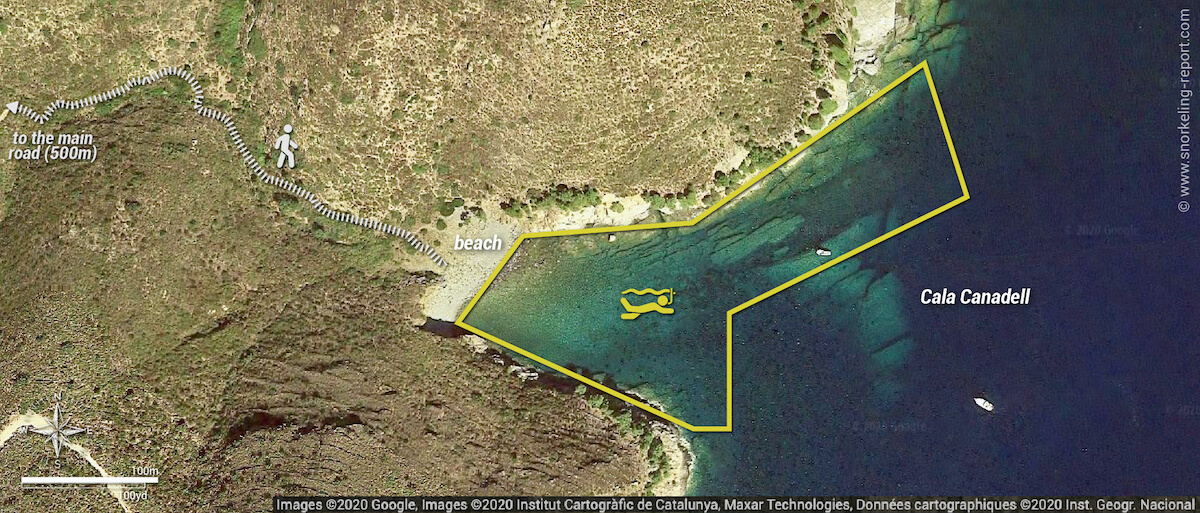 Cala Canadell snorkeling map