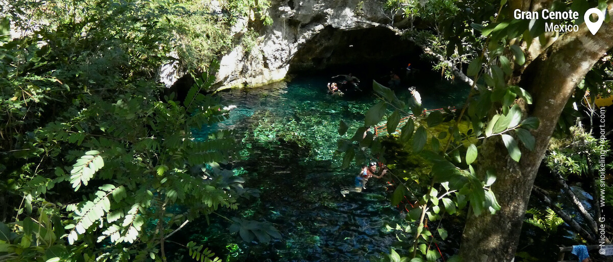 Snorkeling in Gran Cenote