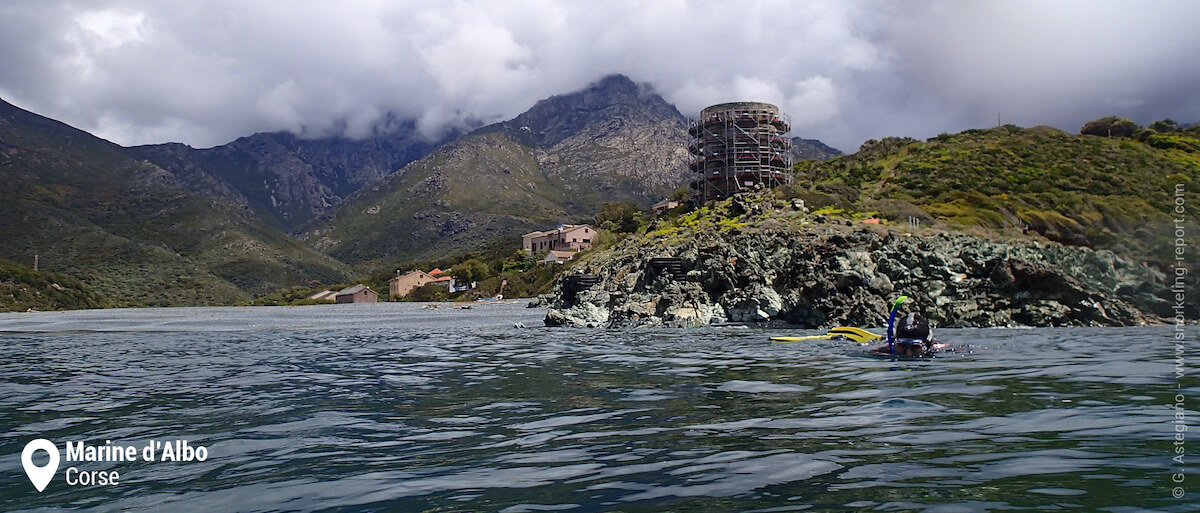 Snorkeling à la tour d'Albo