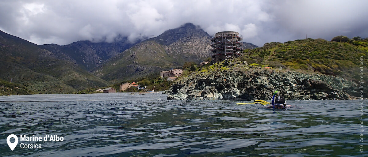 Snorkeling at the foot of Albo tower