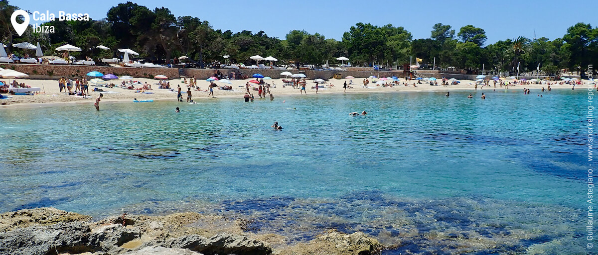 View of Cala Bassa best snorkeling area