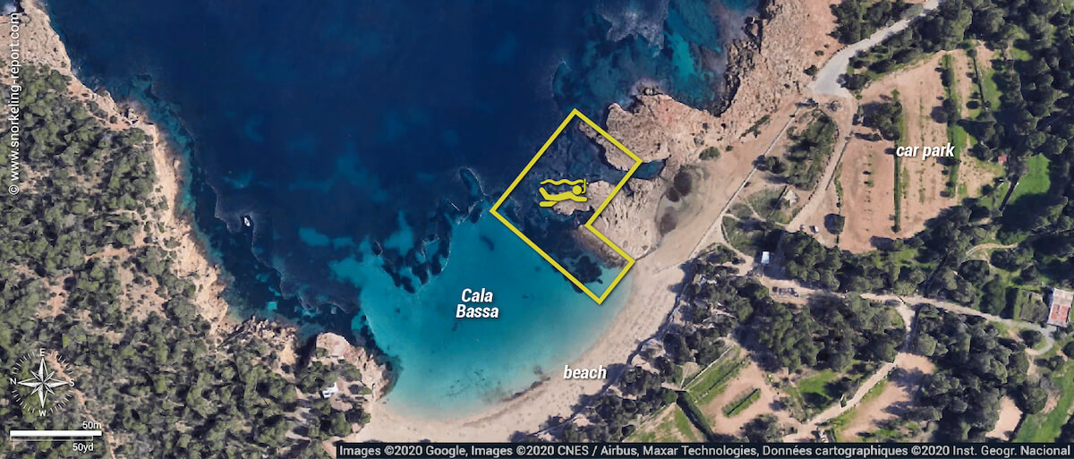 Cala Bassa snorkeling map, Ibiza