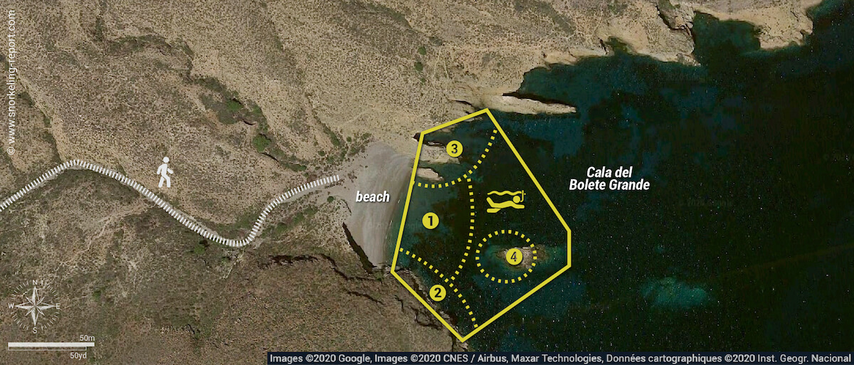 Cala del Bolete Grande, Cabo Tiñoso snorkeling map