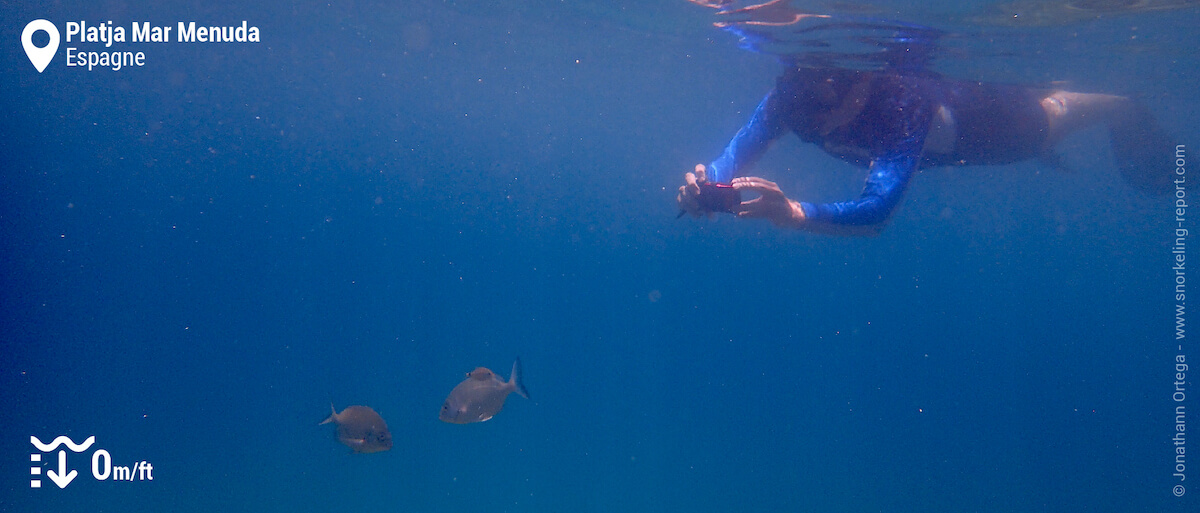 Snorkeleur à Platja Mar Menuda, Tossa de Mar