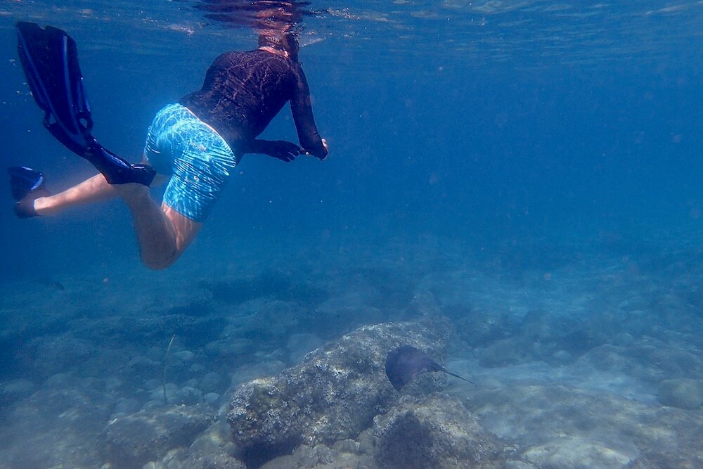 guillaume-taking-picture-stingray-olympus-TG6