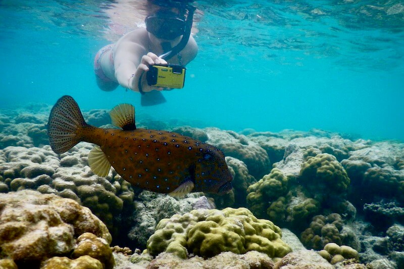 Snorkeling photography