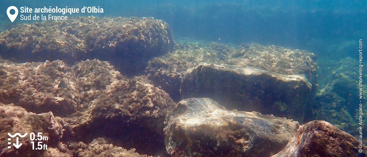 Le quai romain du Site archéologique d’Olbia à Hyères