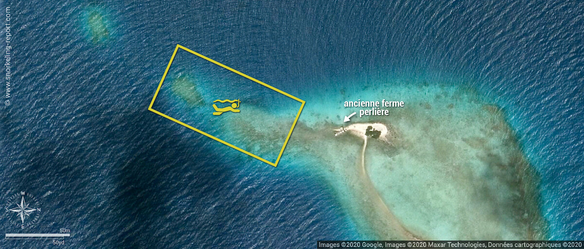 Carte snorkeling à la Ferme Perlière de Tikehau